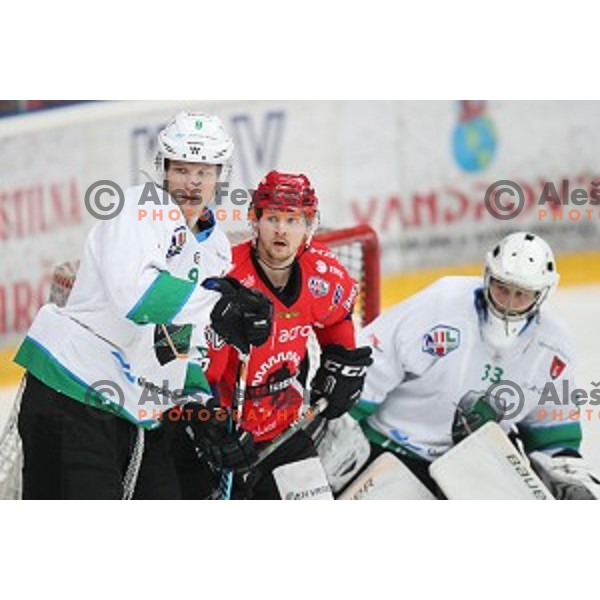 Kristjan Cepon and Markus Piispanen of SIJ Acroni Jesenice during Alps League ice-hockey match between SIJ Acroni Jesenice and SZ Olimpija in Podmezakla Hall, Jesenice, Slovenia on December 30, 2017