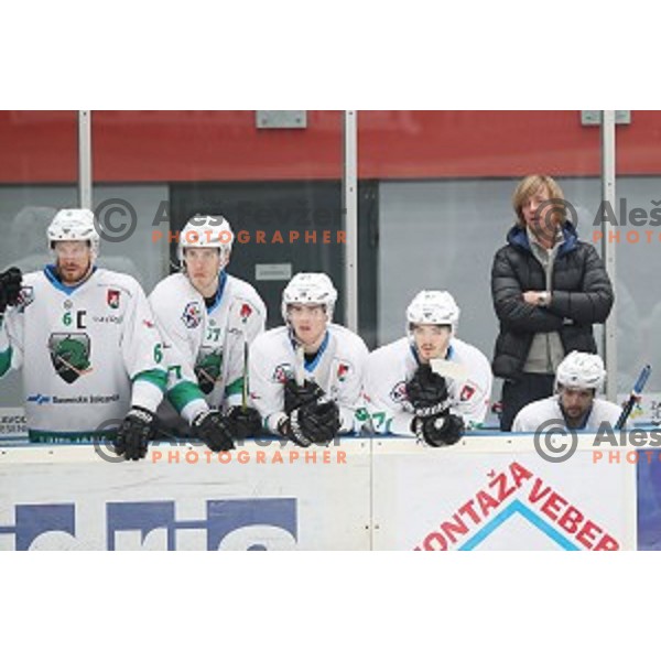 Bostjan Groznik, Andrej Brodnik, head coach of SZ Olimpija during Alps League ice-hockey match between SIJ Acroni Jesenice and SZ Olimpija in Podmezakla Hall, Jesenice, Slovenia on December 30, 2017
