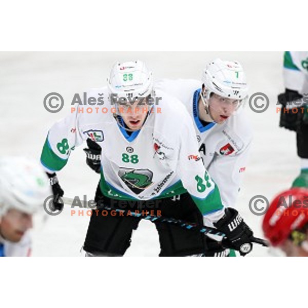 Miha Zajc and Luka Zorko in action during Alps League ice-hockey match between SIJ Acroni Jesenice and SZ Olimpija in Podmezakla Hall, Jesenice, Slovenia on December 30, 2017