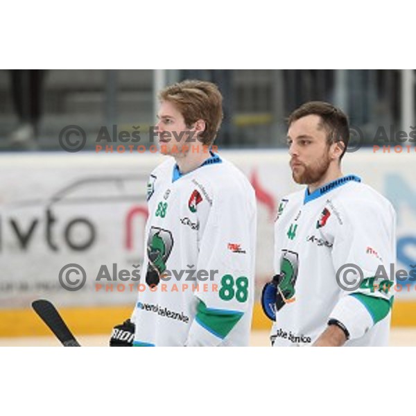 Miha Zajc and Maks Selan during Alps League ice-hockey match between SIJ Acroni Jesenice and SZ Olimpija in Podmezakla Hall, Jesenice, Slovenia on January 13, 2018