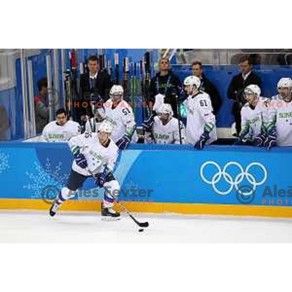 Robert Sabolic (SLO) in action at ice hockey tournament match between OAR (Olympic athletes of Russia) and Slovenia during PyeongChang 2018 Winter Olympic Games, South Korea on February 16, 2018