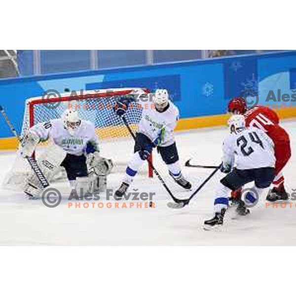 Luka Gracnar (SLO) in action at ice hockey tournament match between OAR (Olympic athletes of Russia) and Slovenia during PyeongChang 2018 Winter Olympic Games, South Korea on February 16, 2018