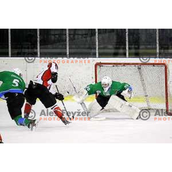 Tilen Spreizer of SZ Olimpija in action during quarter-final of Alps League ice-hockey match between SZ Olimpija and Acroni Jesenice in Tivoli Hall, Ljubljana, Slovenia on March 8, 2018