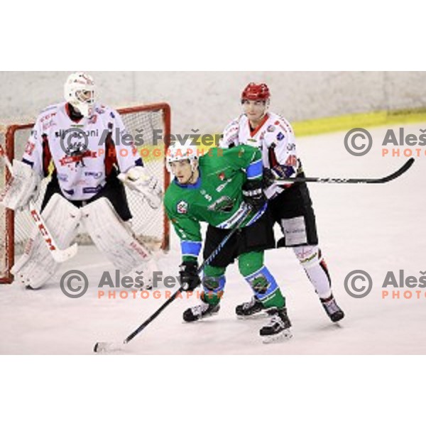 of SZ Olimpija in action during quarter-final of Alps League ice-hockey match between SZ Olimpija and Acroni Jesenice in Tivoli Hall, Ljubljana, Slovenia on March 8, 2018