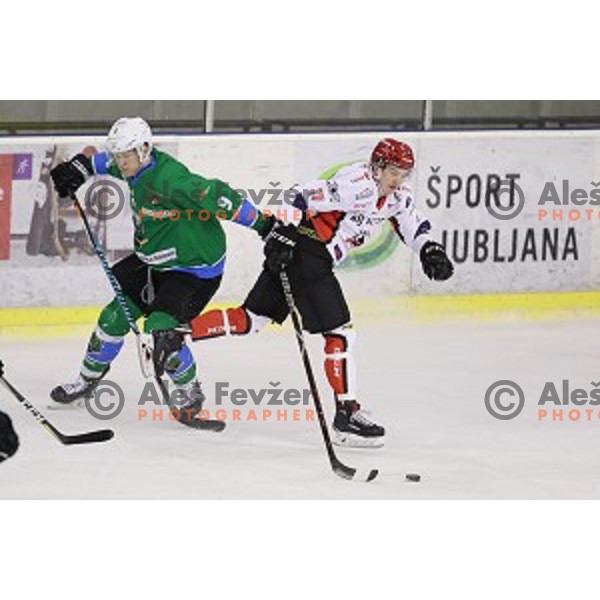 Luka Kalan in action during quarter-final of Alps League ice-hockey match between SZ Olimpija and Acroni Jesenice in Tivoli Hall, Ljubljana, Slovenia on March 8, 2018