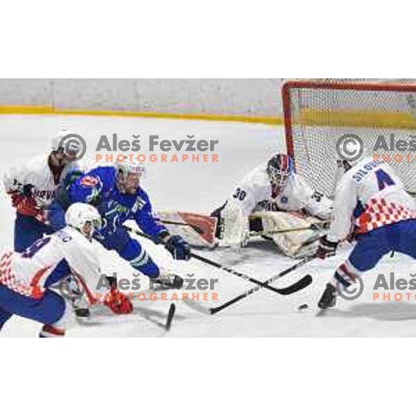 of Slovenia in action durnig friendly ice-hockey match between Slovenia and Croatia in Celje, Slovenia on April 8, 2018