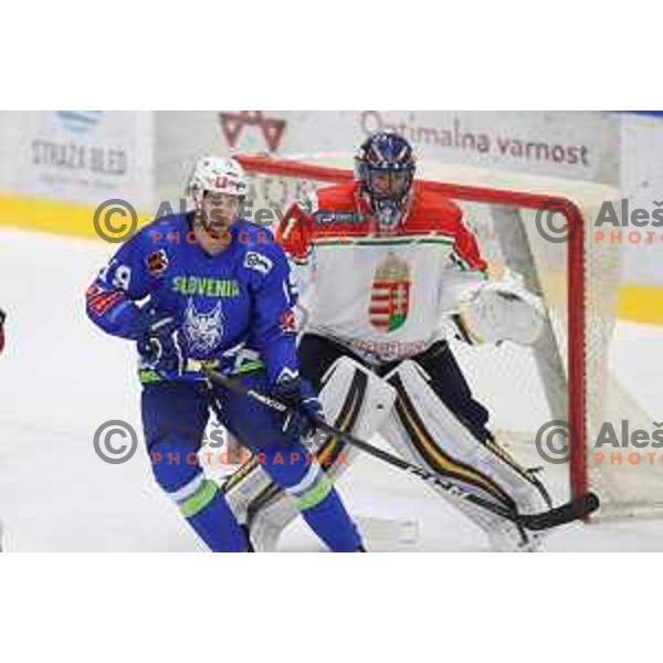 Ziga Pance in action during friendly ice-hockey match between Slovenia and Hungary at Bled ice Hall, Slovenia on April 11, 2018