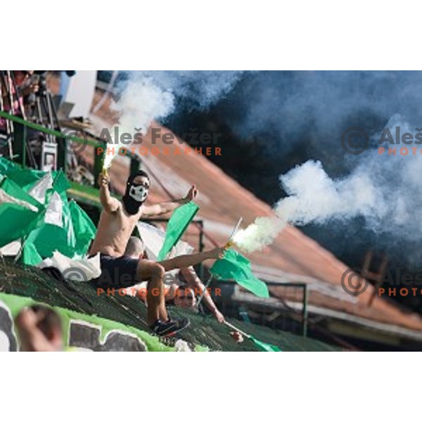 Green Dragons in action during Prva liga Telekom Slovenije football match between Mura and Olimpija, Fazanerija, Murska Sobota, Slovenia on September 16, 2018