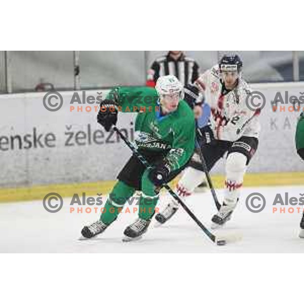 Miha Zajc of SZ Olimpija in action during Alps League ice-hockey match between SZ Olimpija and Milano Rossoblu in Tivoli Hall, Ljubljana, Slovenia on September 23, 2018