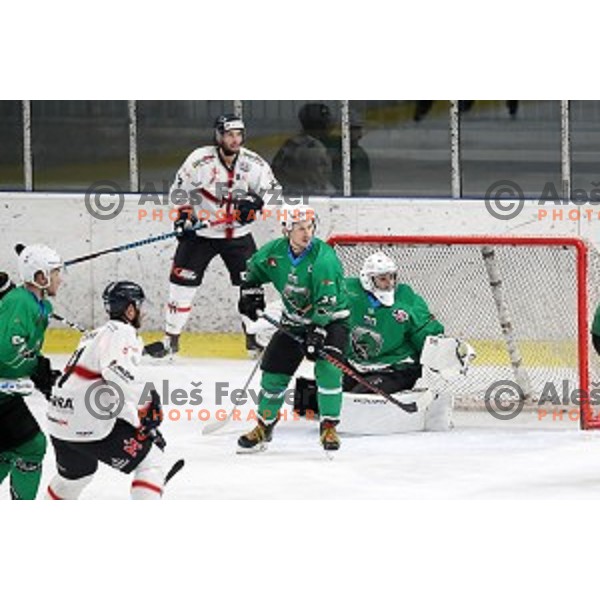 Saso Rajsar and Tilen Spreitzer of SZ Olimpija in action during Alps League ice-hockey match between SZ Olimpija and Milano Rossoblu in Tivoli Hall, Ljubljana, Slovenia on September 23, 2018