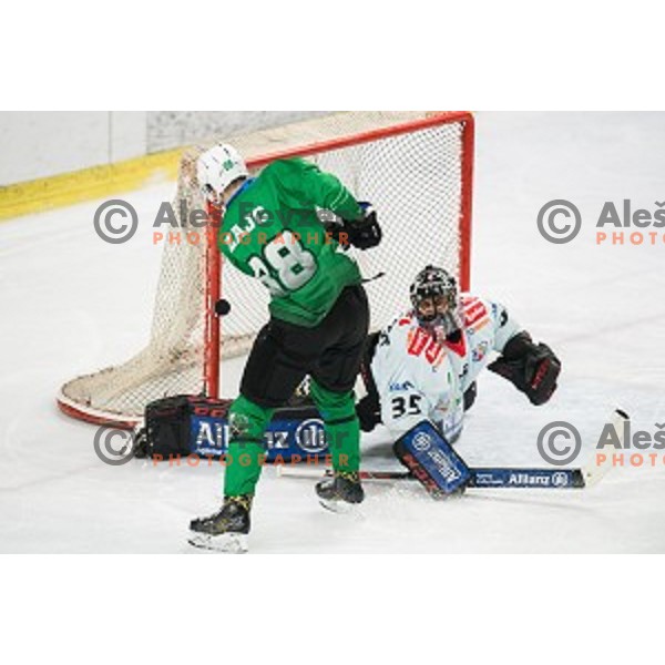 Miha Zajc in action during Alps league ice hockey match between HK SZ Olimpija and Rittner Buam , Tivoli hall, Ljubljana, Slovenia on September 29, 2018