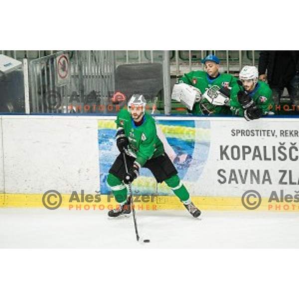 Gal Koren in action during Alps league ice hockey match between HK SZ Olimpija and Rittner Buam , Tivoli hall, Ljubljana, Slovenia on September 29, 2018