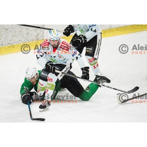 in action during Alps league ice hockey match between HK SZ Olimpija and Rittner Buam , Tivoli hall, Ljubljana, Slovenia on September 29, 2018