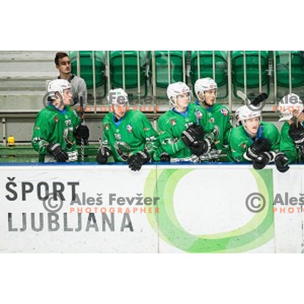 SZ Olimpija in action during Alps league ice hockey match between HK SZ Olimpija and Rittner Buam , Tivoli hall, Ljubljana, Slovenia on September 29, 2018