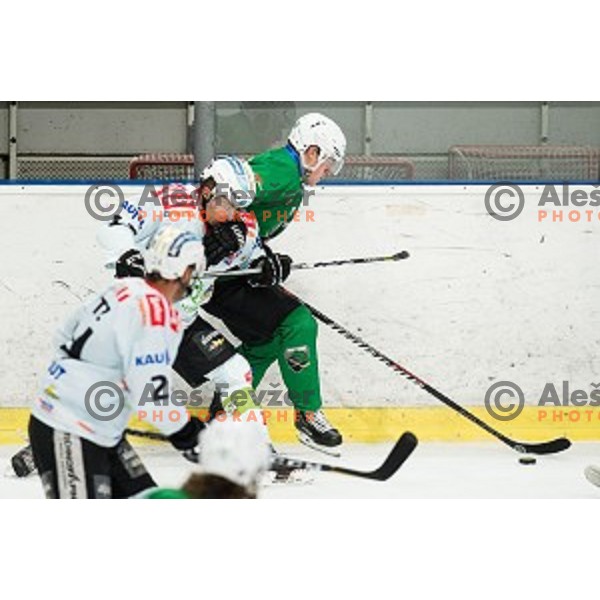 Anej Kujavec in action during Alps league ice hockey match between HK SZ Olimpija and Rittner Buam , Tivoli hall, Ljubljana, Slovenia on September 29, 2018