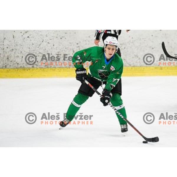 Nejc Brus in action during Alps league ice hockey match between HK SZ Olimpija and Rittner Buam , Tivoli hall, Ljubljana, Slovenia on September 29, 2018