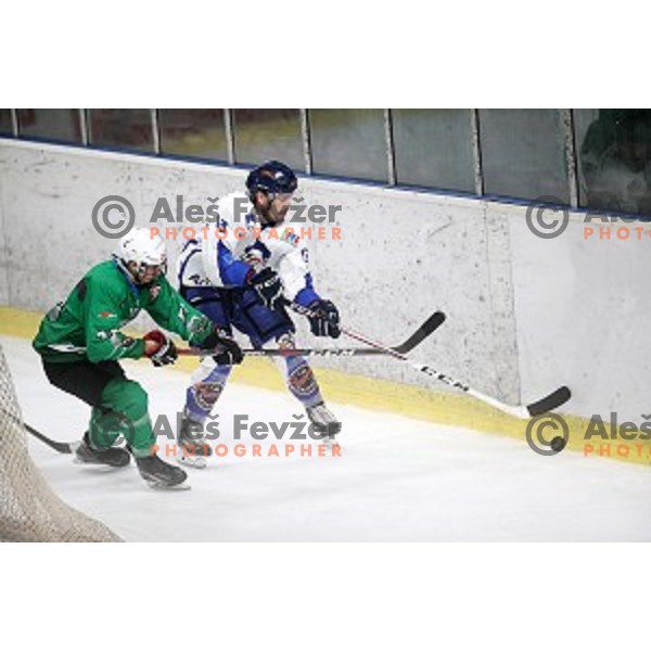 Bled in action during National League ice-hockey match between SZ Olimpija and Bled in Tivoli Hall, Ljubljana, Slovenia on October 8, 2018
