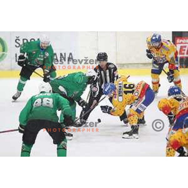 of SZ Olimpija in action during Alps League ice-hockey match between SZ Olimpija and Asiago in Tivoli Hall, Ljubljana, Slovenia on October 20, 2018