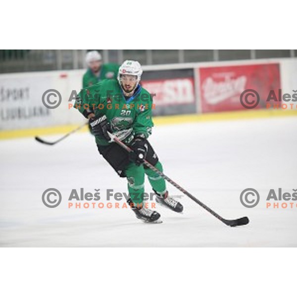 Gregor Koblar of SZ Olimpija in action during Alps League ice-hockey match between SZ Olimpija and Asiago in Tivoli Hall, Ljubljana, Slovenia on October 20, 2018