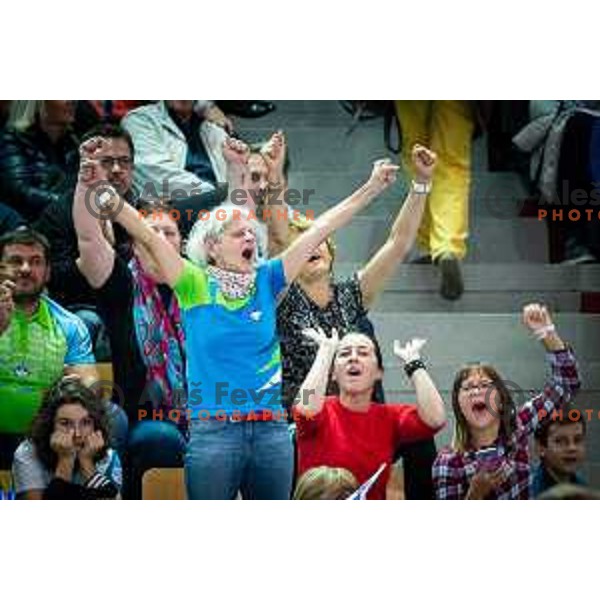 Fans of Slovenia during handball match between Slovenia and Latvia, Round 1 of European Championship 2020 qualifier, played in Lukna, Maribor, Slovenia on October 24, 2018