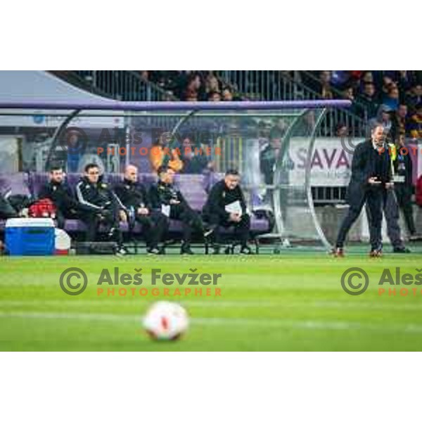 Darko Milanic, head coach of Maribor during soccer match between Maribor and Olimpija, Round 14 of PLTS 2018/19, played in Ljudki vrt, Maribor, Slovenia on October 27, 2018