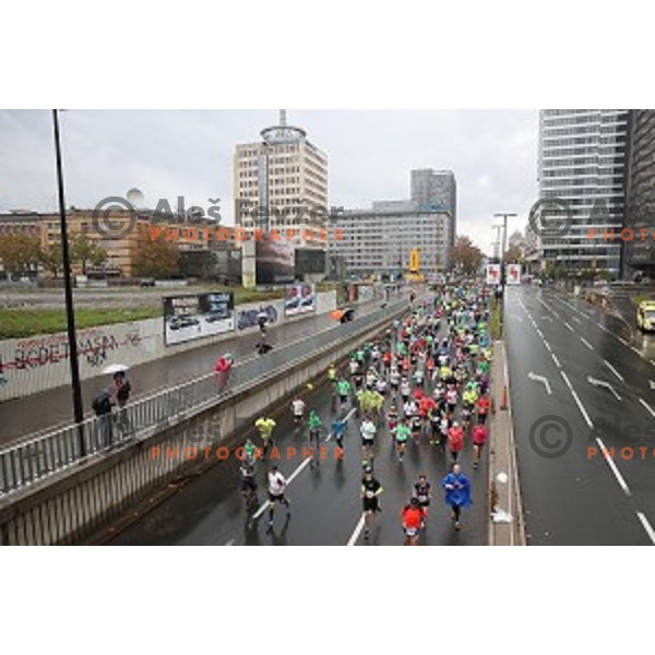 at 23. Volkswagen Ljubljana marathon, Slovenia on October 28, 2018