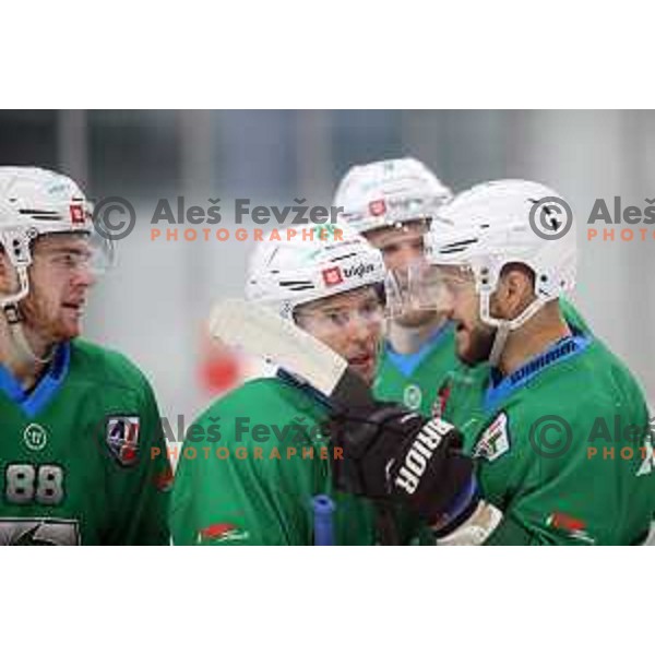 Ales Kranjc and Gal Koren of SZ Olimpija in action during Alps League ice-hockey match between SZ Olimpija and Feldkirch in Tivoli Hall, Ljubljana, Slovenia on November 3 ,2018