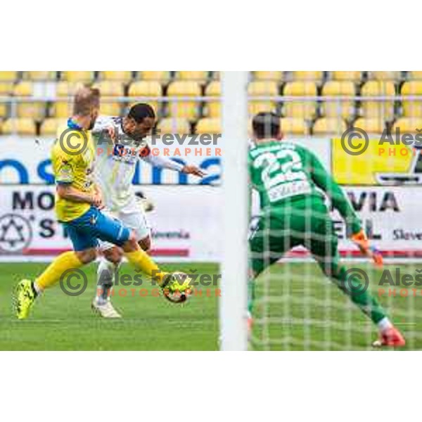 Marcos Tavares in action during soccer match between Celje and Maribor, Round 15 of PLTS 2018/19, played in Arena Z’dezele, Celje, Slovenia on November 4, 2018