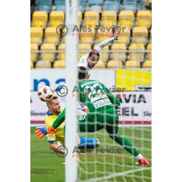 Marcos Tavares in action during soccer match between Celje and Maribor, Round 15 of PLTS 2018/19, played in Arena Z’dezele, Celje, Slovenia on November 4, 2018