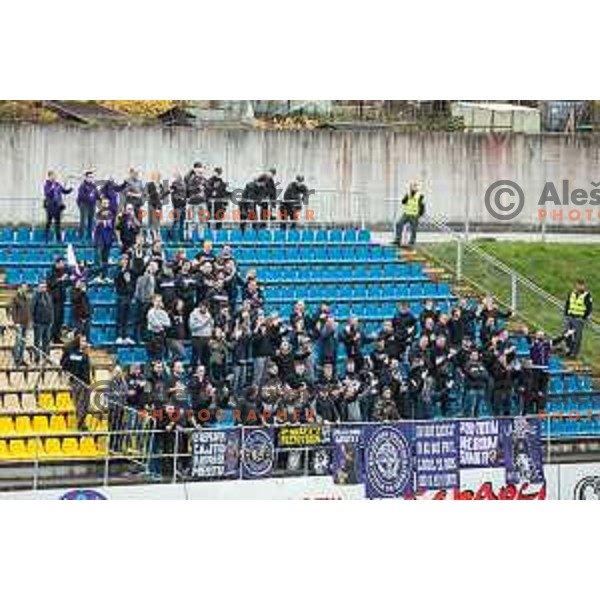 Viole during soccer match between Celje and Maribor, Round 15 of PLTS 2018/19, played in Arena Z’dezele, Celje, Slovenia on November 4, 2018