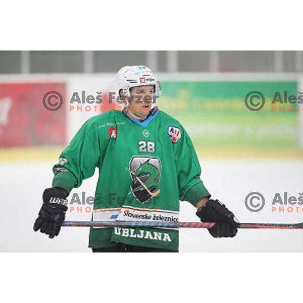 Ales Kranjc of SZ Olimpija in action during Alps League ice-hockey match between SZ Olimpija and Feldkirch in Tivoli Hall, Ljubljana, Slovenia on November 3 ,2018