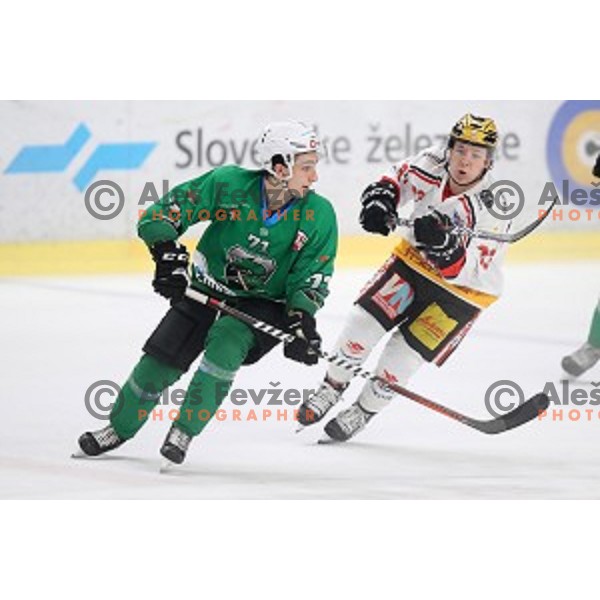of SZ Olimpija in action during Alps League ice-hockey match between SZ Olimpija and Feldkirch in Tivoli Hall, Ljubljana, Slovenia on November 3 ,2018