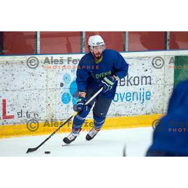 David Planko of Slovenia ice-hockey team practice during session in Podmezakla Hall, Jesenice on November 6, 2018