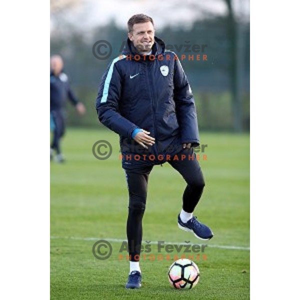 Josip Ilicic of Slovenia National Football team during practice session in NNC Brdo on November 12, 2018