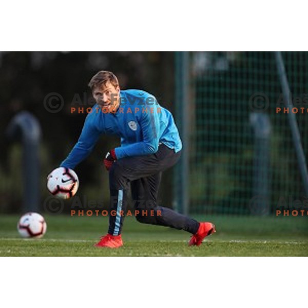 Vid Belec of Slovenia National Football team during practice session in NNC Brdo on November 12, 2018