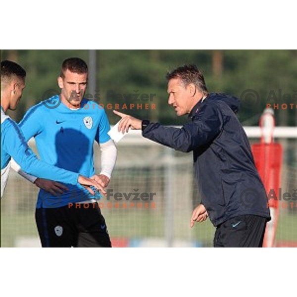 Domen Crnigoj and Igor Benedejcic, head coach of Slovenia National Football team during practice session in NNC Brdo on November 12, 2018