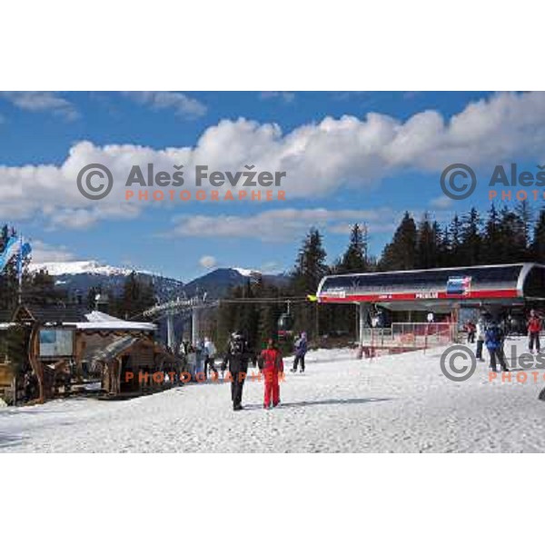 Piculin,Plan de Corones, Kronplatz ski resort, Brunico, Bruneck, Sud Tirol, Italy. Photo by Ales Fevzer 