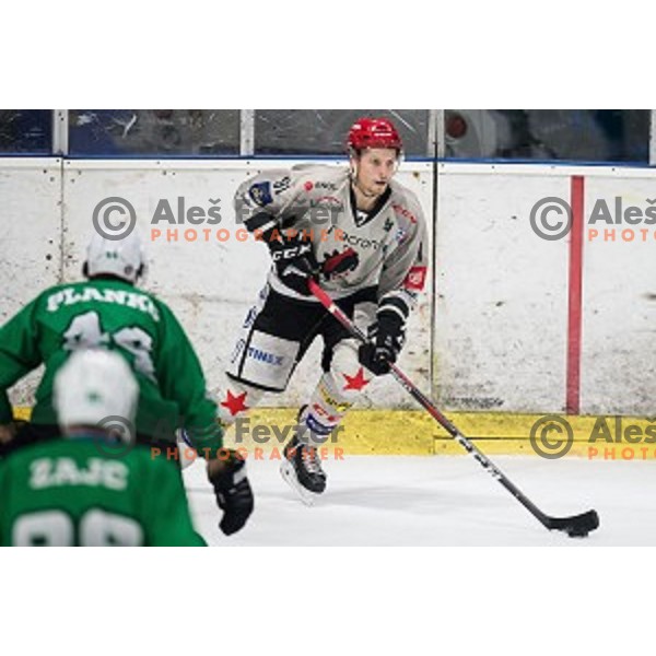 Tadej Cimzar in action during Alps league ice hockey match between HK SZ Olimpija and Jesenice , Tivoli hall, Ljubljana, Slovenia on November 25, 2018