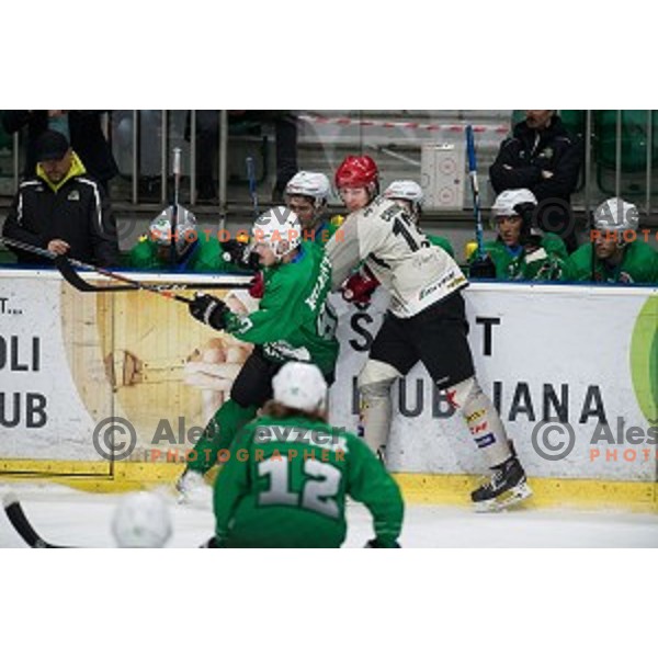 in action during Alps league ice hockey match between HK SZ Olimpija and Jesenice , Tivoli hall, Ljubljana, Slovenia on November 25, 2018