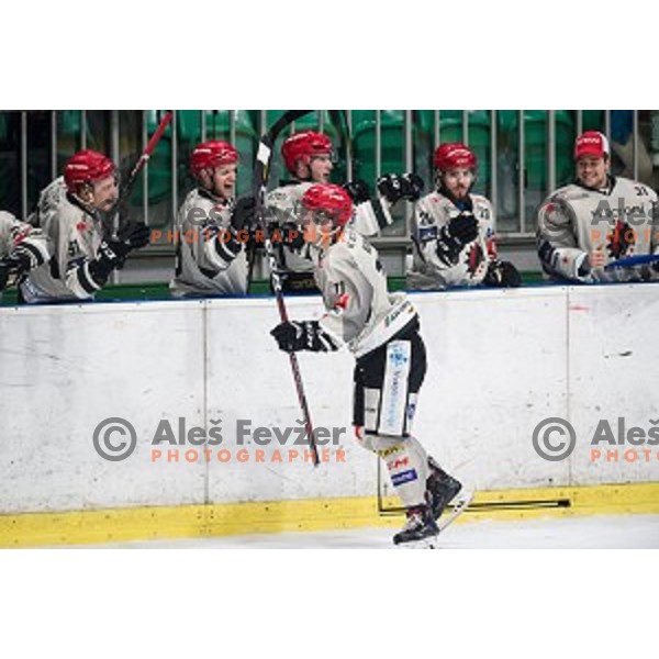 Luka Kalan in action during Alps league ice hockey match between HK SZ Olimpija and Jesenice , Tivoli hall, Ljubljana, Slovenia on November 25, 2018