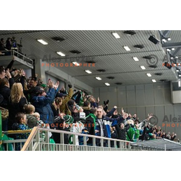 fans in action during Alps league ice hockey match between HK SZ Olimpija and Jesenice , Tivoli hall, Ljubljana, Slovenia on November 25, 2018