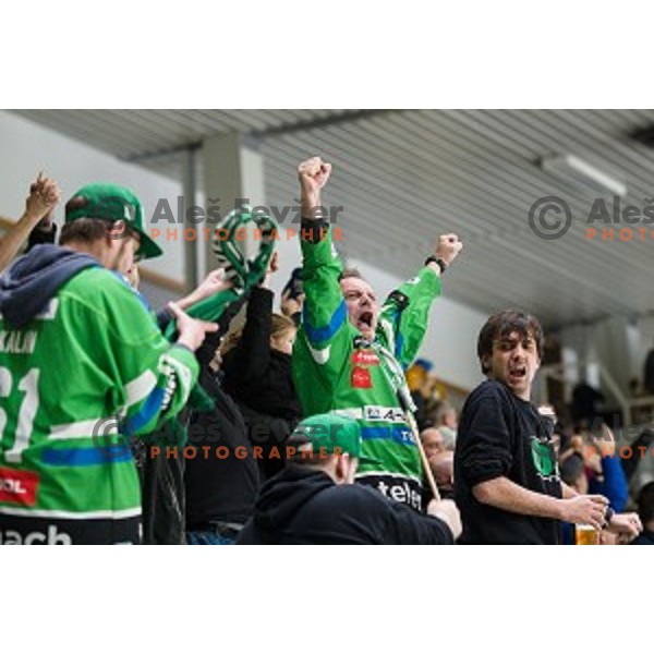 fans in action during Alps league ice hockey match between HK SZ Olimpija and Jesenice , Tivoli hall, Ljubljana, Slovenia on November 25, 2018