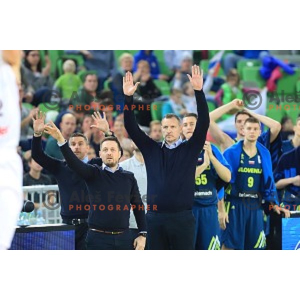 Rado Trifunovic, head coach of Slovenia in action during FIBA Basketball World Cup 2019 European Qualifiers between Slovenia and Latvia in SRC Stozice, Ljubljana, Slovenia on December 2, 2018