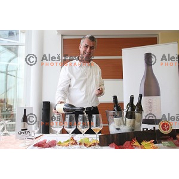 Leon Gjerkes of Gjerkes wine estate during wine tasting in hotel Livada, Moravske Toplice, Slovenia on October 30, 2018