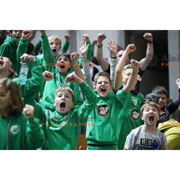 Young players of Petrol Olimpija celebrate victory during ABA league basketball match between Petrol Olimpija and Krka in Tivoli Hall, Ljubljana on December 16, 2018