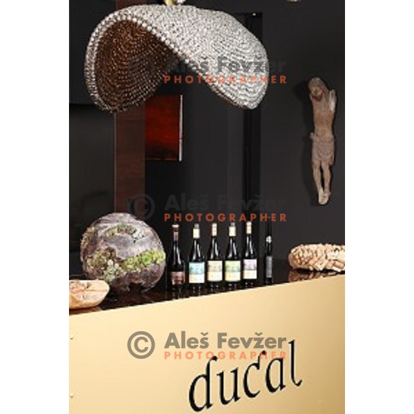 Ducal Wines and it\'s wine cellar in Svecina, Slovenia on January 3, 2018