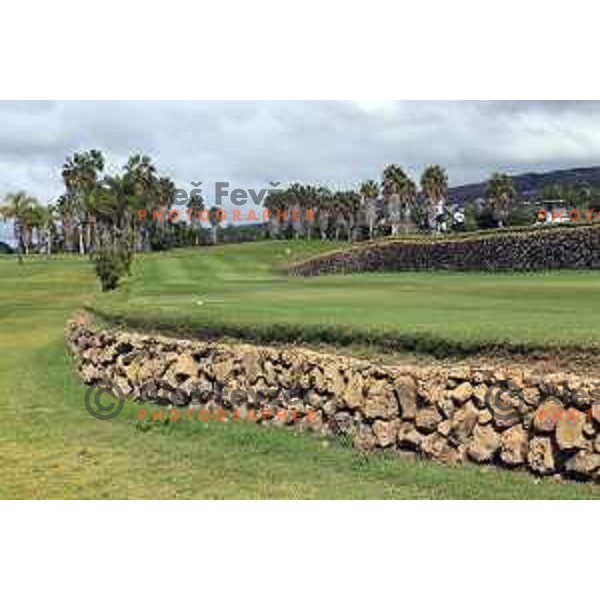 Costa Adeje golf is 18 holes Championship course built on the former banana plantations. Photographed at Tenerife, Canary Islands on November 27, 2018