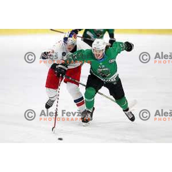 Janez Orehek of SZ Olimpija in action during Alps League (AHL) ice hockey match between SZ Olimpija and Red Bulls 2 in Tivoli Hall, Ljubljana on January 5, 2019