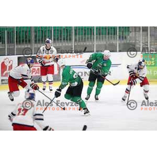 of SZ Olimpija in action during Alps League (AHL) ice hockey match between SZ Olimpija and Red Bulls 2 in Tivoli Hall, Ljubljana on January 5, 2019