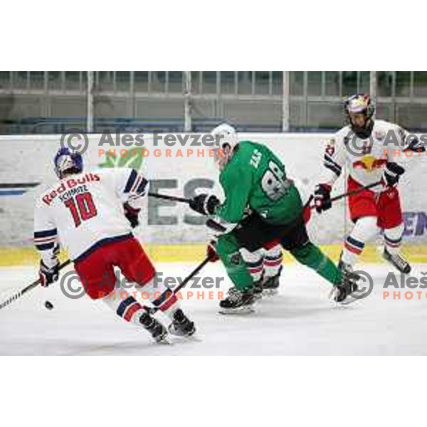 Miha Zajc of SZ Olimpija in action during Alps League (AHL) ice hockey match between SZ Olimpija and Red Bulls 2 in Tivoli Hall, Ljubljana on January 5, 2019